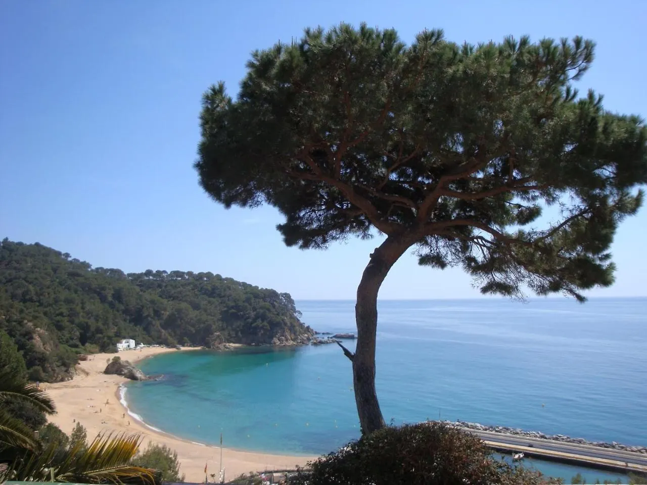 Loft Kiwi Villa Lloret de Mar